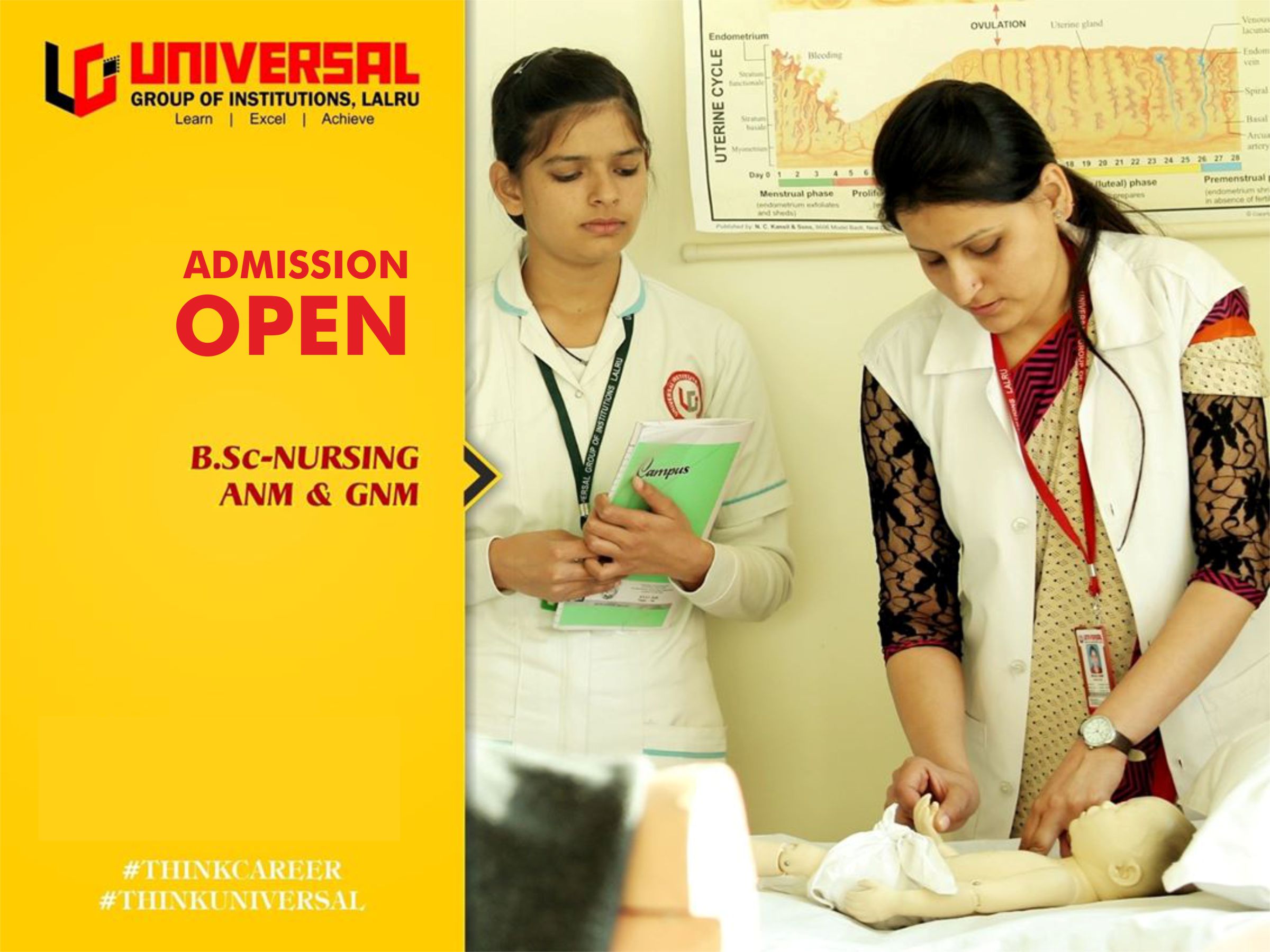 nursing college in punjab